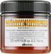 Поживний кондиціонер Вегетаріанське диво 250 мл Davines Natural Tech Nourishing Vegetarian Miracle condition 8004608269250 фото 1