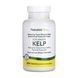 Kelp - 300 tabs 2023-10-2363 фото 1