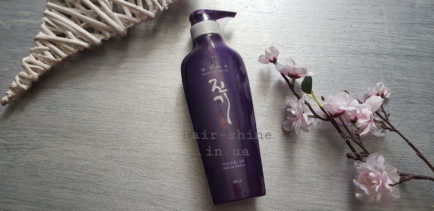 Регенеруючий шампунь від випадіння волосся Daeng Gi Meo Ri Vitalizing Shampoo 300 мл 8807779080507 фото