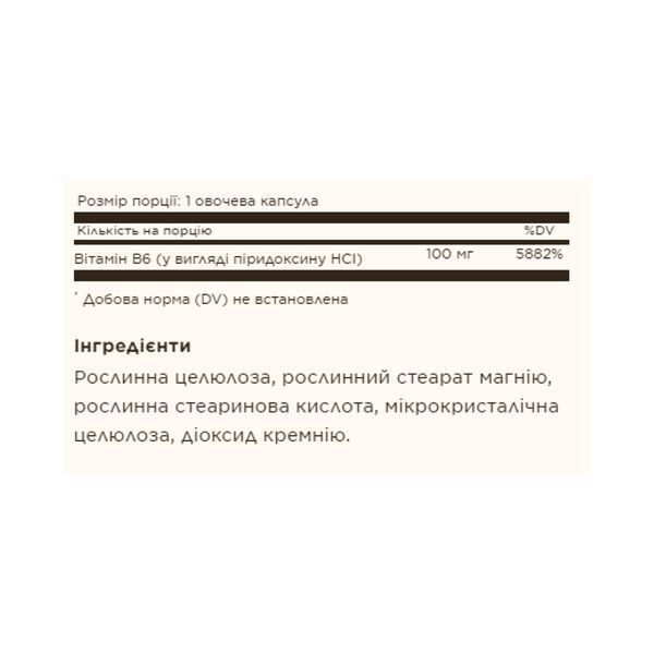 Vitamin B6 100mg - 100 vcaps 2023-10-3684 фото