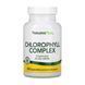 Chlorophyll 600mg - 90 vcaps 2023-10-3226 фото 1