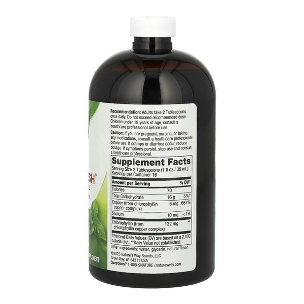 Chlorofresh&reg; Liquid - 16 oz Mint (Пошкоджена етикетка) 2023-10-3734 фото