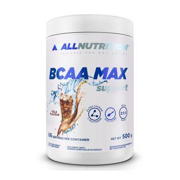 BCAA Max Support - 500g Orange 100-90-1205808-20 фото