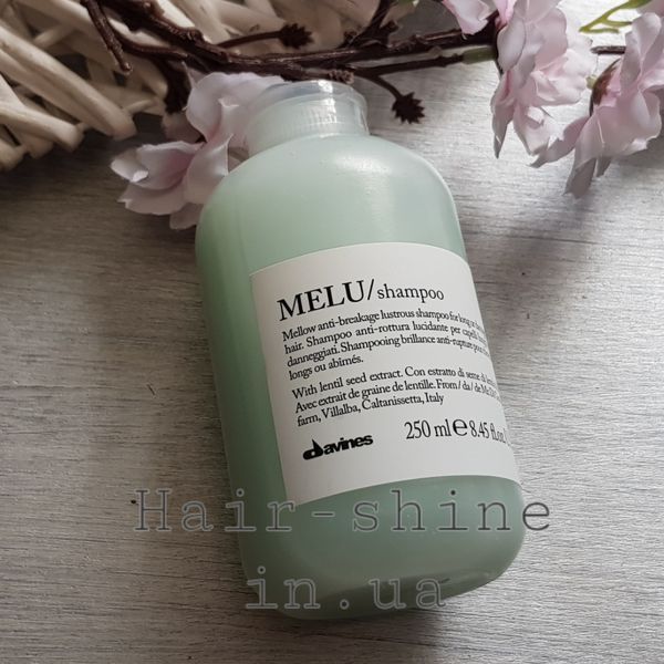 Шампунь для запобігання ламкості Davines Essential Haircare New Melu Shampoo 250 мл 8004608246206 фото