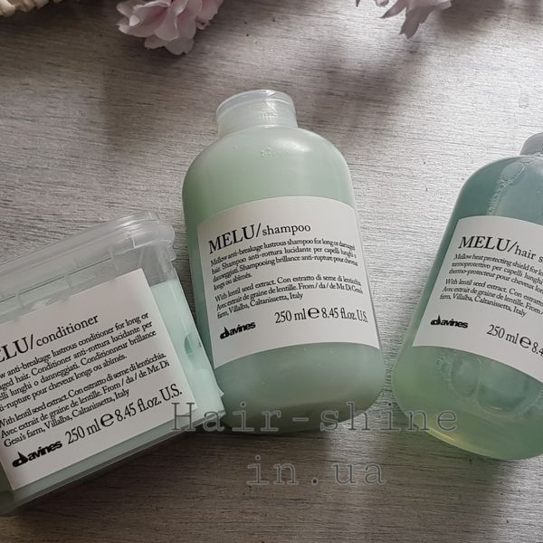 Шампунь для запобігання ламкості Davines Essential Haircare New Melu Shampoo 250 мл 8004608246206 фото