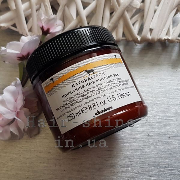Поживна маска, що відновлює 250 мл Davines Natural Tech Nourishing Hair Building Pak Masc 8004608269199 фото