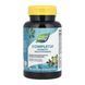 Completia Diabetic (Iron-Free) - 90 tabs 2023-10-2776 фото 1