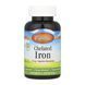 Chelated Iron - 250 tabs 2023-10-4570 фото 1