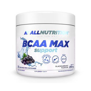 BCAA Max Support - 250g Strawberry 100-83-7790318-20 фото
