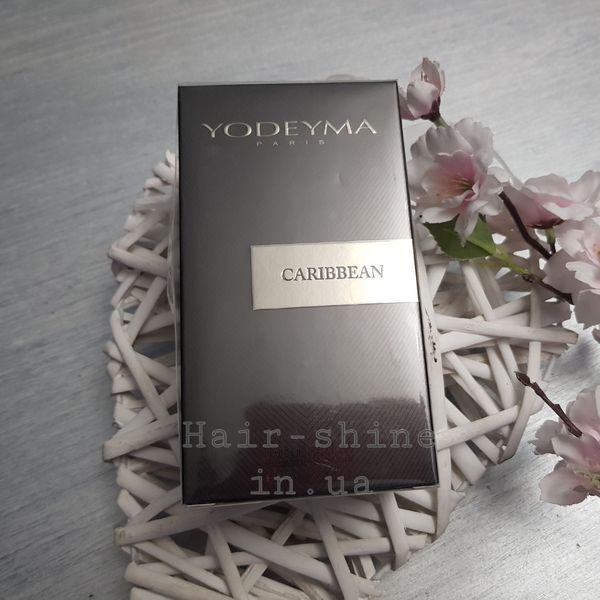 Мужская парфюмированная вода Yodeyma Caribbean 100 мл 8436022350519 фото