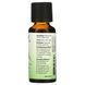 Organic Tea Tree Oil - 30ml (1 oz) 2022-10-0715 фото 2