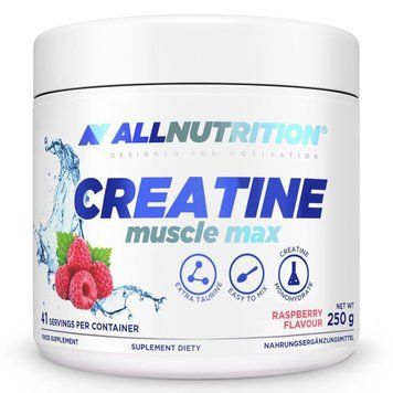 Креатин моногідрат Allnutrition Creatine Muscle Max 250 г 5902837703374 фото