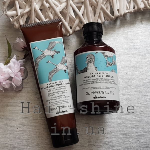 Увлажняющий шампунь для всех типов волос Davines New Natural Tech Well-Being Shampoo 250 мл 8004608256502 фото
