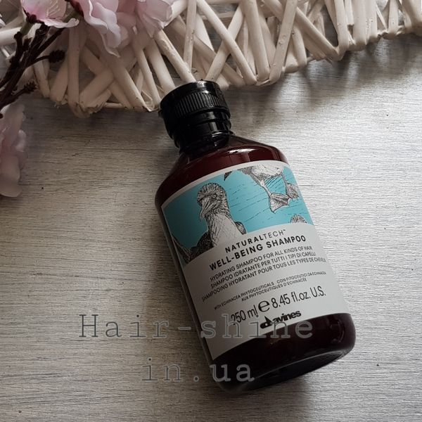Увлажняющий шампунь для всех типов волос Davines New Natural Tech Well-Being Shampoo 250 мл 8004608256502 фото