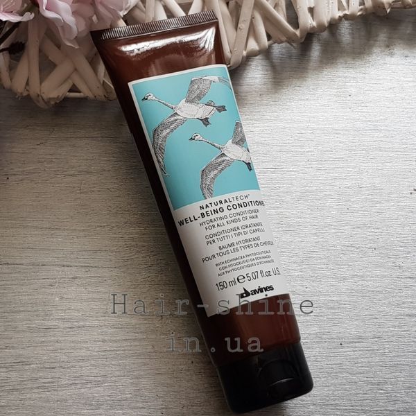 Увлажняющий кондиционер для здоровья волос Davines New Natural Tech 150 мл 8004608230762 фото
