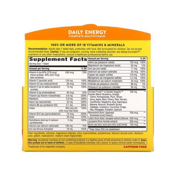 Daily Energy (With Iron) - 60 tabs 2022-10-1713 фото